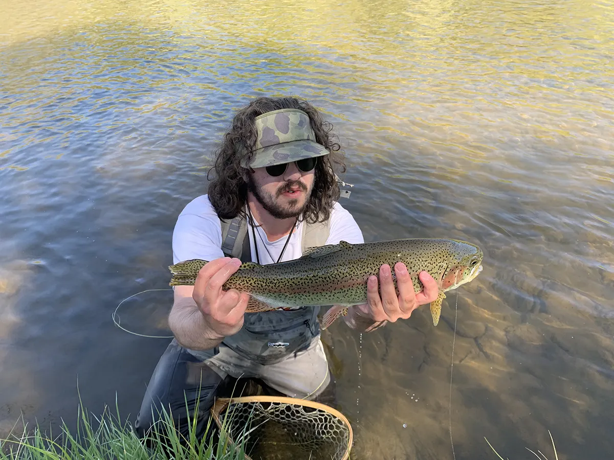 A heavy brown trout in the net